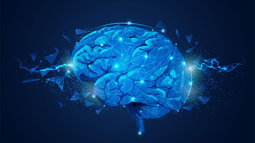 Brain-activity-while-coding-differs-from-processing-language-or-doing-math-02.jpg